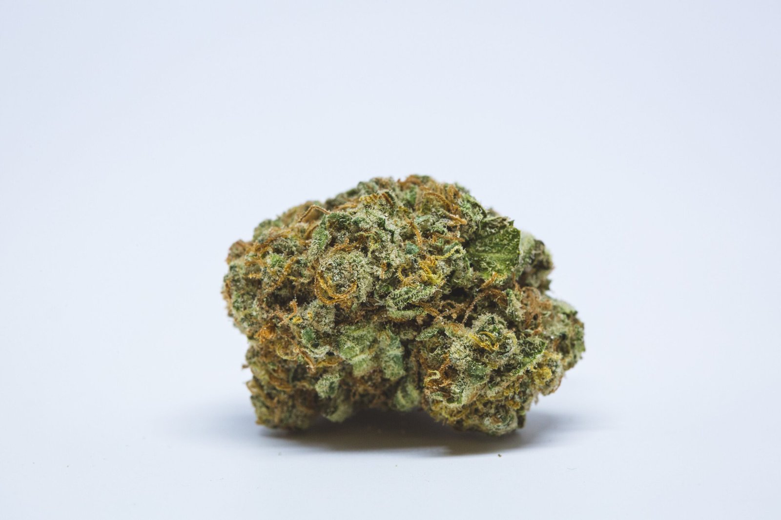 Pure Kush Malibu Pure Kush Strain