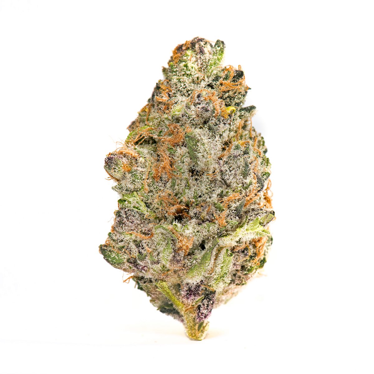 Super Boof Super Boof Strain