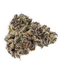 White Truffle Strain