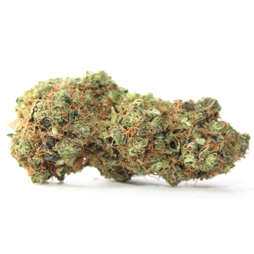 sativa-dominant-hybrid_1243819723 Dragon Fruit Strain
