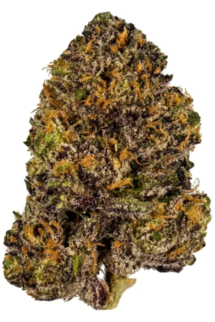 Granddaddy Purple Seeds