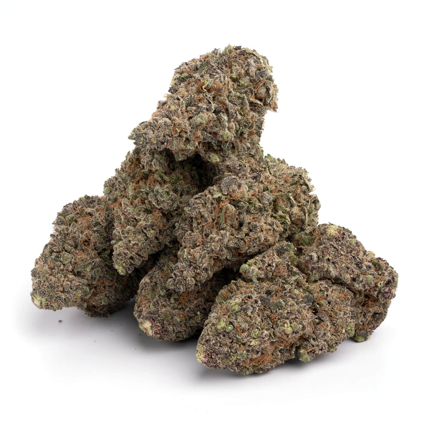 Purple-White-Lightning-11 White Lightning Strain